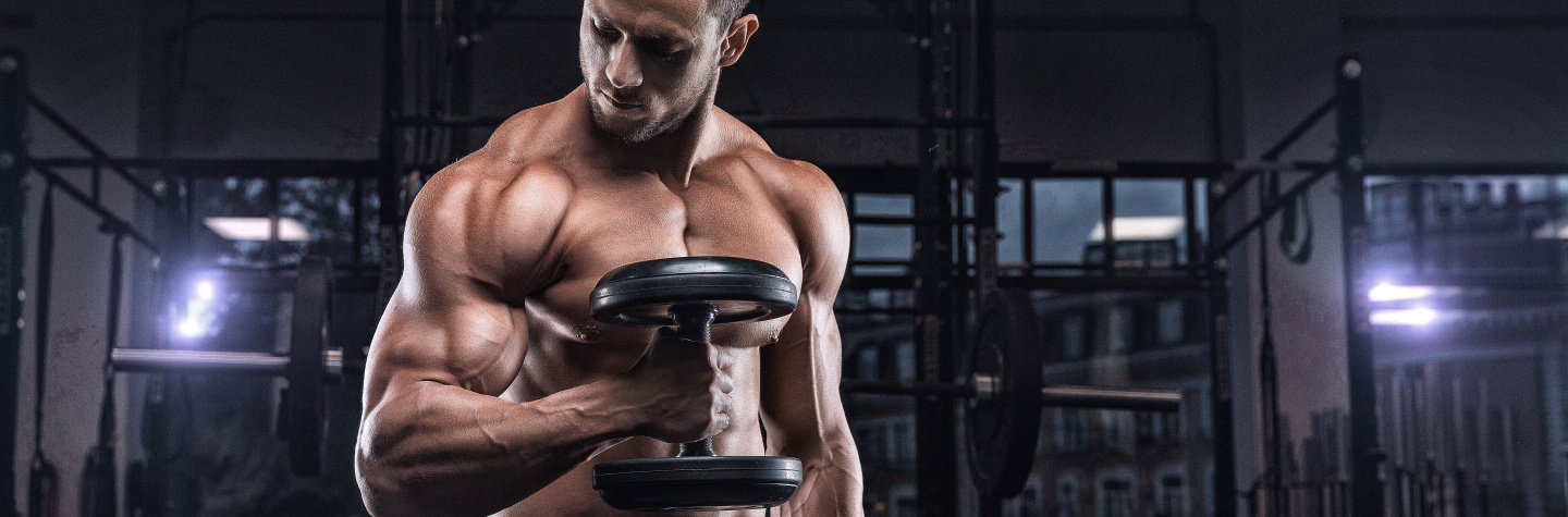 Biceps
Biceptræning
Større overarme Biceps
Biceptræning
Større overarme